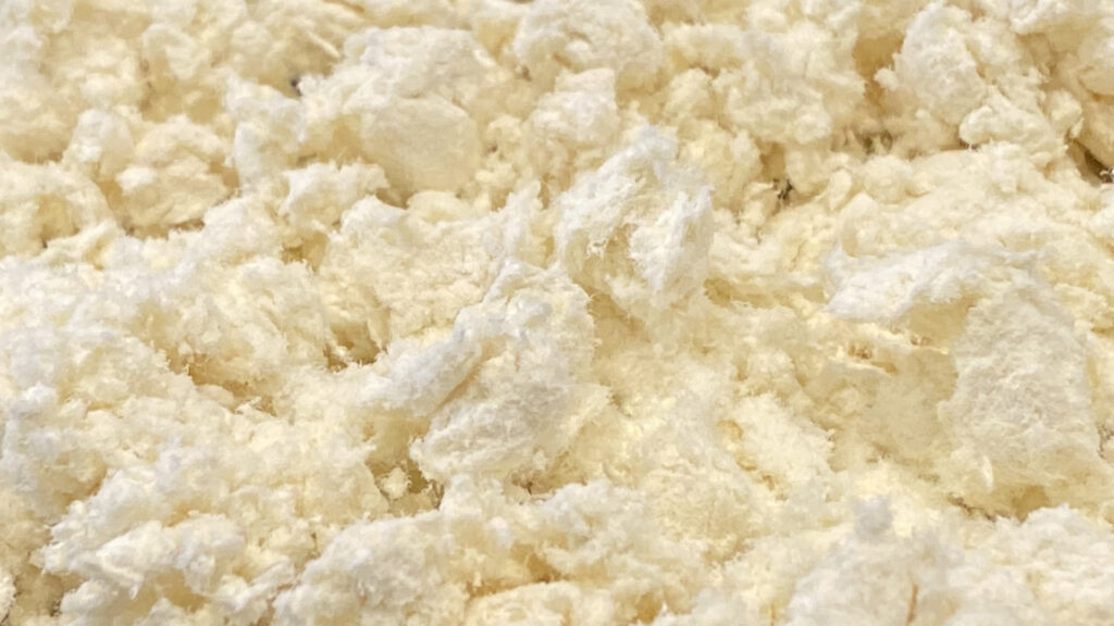 Home Compostable Pulp vs CPLA vs Biodegradable vs Recyclable